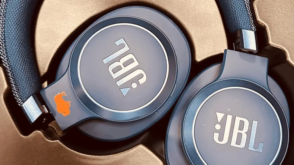 Buffalo Construction JBL Headphones